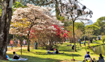 Shows gratuitos no Parque Ibirapuera celebram chegada da primavera em São Paulo